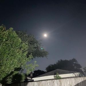 Meet your Posher, Olga